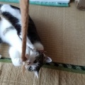 あられもないポーズ