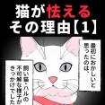 身近で起こった怖〜い話【猫が怯えるその理由・１】