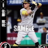 『打球速度と飛距離 日米』の画像