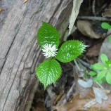 『函館方面の現場から一旦戻りました。』の画像
