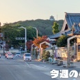 10/20(月)～10/26(日)の小牧のニュースや出来事をピックアップ【今週のこまき】
