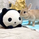 そこまで気にしない？