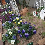 写真のクラ蔵 ライブドア