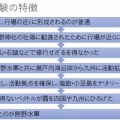 四国霊場 宇多津の郷照寺の伽藍変遷を絵図でたどる