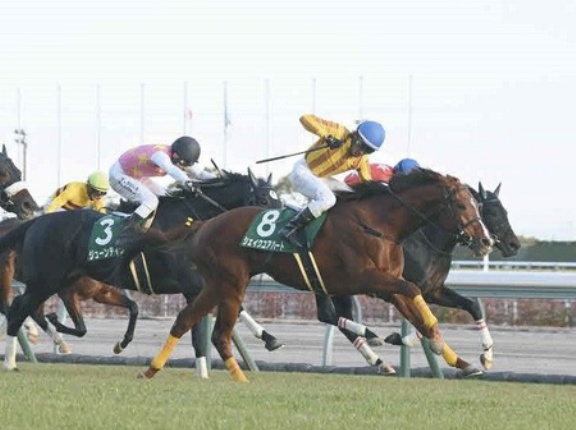 【中日新聞杯】1番人気シェイクユアハートが差し切って重賞初勝利