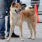 大宮の風