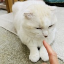 Yさんのお当番日記『ちょっとイラッとするんだな』。