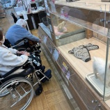 『ネコはわかっている。』の画像