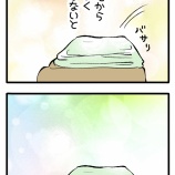 猫とホカホカ布団