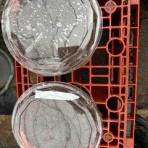 サボテン趣味人の温室