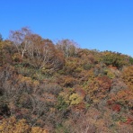 バテバテ山日記