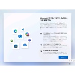 無類のねこ好き