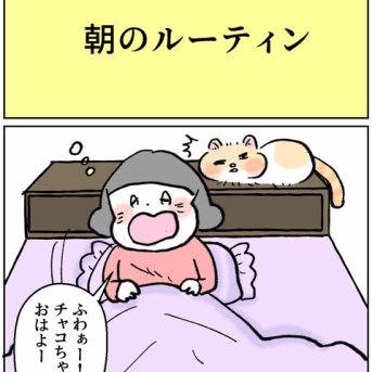 朝のルーティン