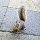 父を看取った話し（退院一日目！）