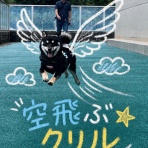 オートクリル　オフィシャルブログ