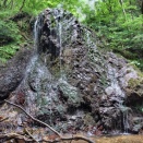 弥彦山(宝川左俣偵察)