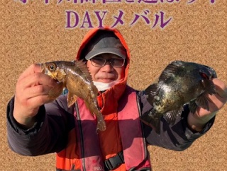 メバル 師匠シリーズ！