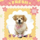 ＪＡＭにご来店♪