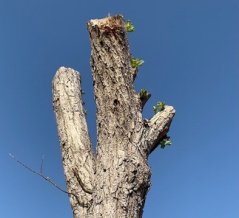 環境保全や維持管理は環境省の仕事じゃない？