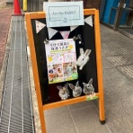 手作り雑貨と保護うさぎ