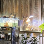 林良一ブログ RYO'S METHOD