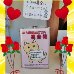 三度の飯＜犬と猫