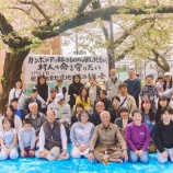 『花見楽しかったです』の画像
