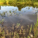 ���ޤ��ɤ������ФƤ��ɡ���碌��������(^^; ������Ǥ⤳�ξ¤ǽ��ƾ������ʤ���ʥޥ�����줿(^_^)