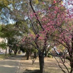 KARKARの「とりあえず走っとく？」