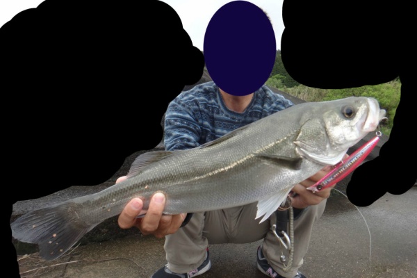 博多発ルアー釣りブログ シーバス 博多発ルアー釣りブログ シーバス