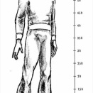 ■『The Field Guide To Extraterrestrials』落ち穂拾い⑦