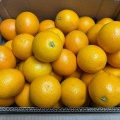 第74回十日市こども食堂おてらごはんのご報告。