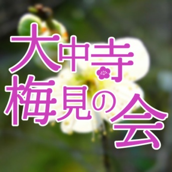 ちょっと早い沼津の春はここから。中沢田に春の気配がやってくる！大中寺の梅見の会が開催されます。