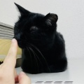 Mさんのお当番日記『もぅ子供ちゃうでぇ』。