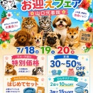 SALE開催中‼️‼️