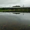 水鏡