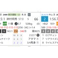 【ＲＤビューワ】毎日王冠の想定版　