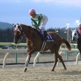 『【遠征馬情報】盛岡競馬場・ダイヤモンドカップ〔M1〕にホッカイドウ競馬から3頭参戦!』の画像