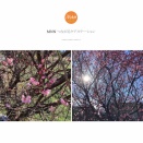 嚥下動作・嚥下障害へのリハビリ介入