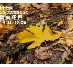 暦‐2026年9月28日