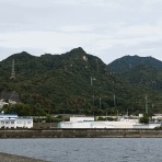 ラッキーの日記と、パパのカメブラ散歩