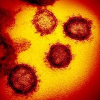 田舎記者の手帳