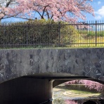 Tedious diary more x4