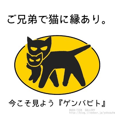 ご兄弟で猫に縁あり。『ゲンバビト』で櫻井配達員（54）に