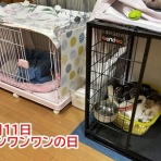 ガオだらけな日々　