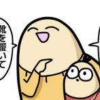 ボーヤ、朝の一幕