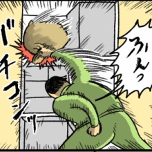 いんげんまめこページ まめこめの新ベッド🛏️ 暗い狭いところでまるまること好き
