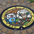 ポケふたを取りに三重　(*ΦωΦ*)にゃー