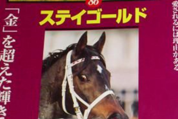 カブトシローとステイゴールド Nathanielの競馬ブログ