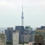 東京スカイツリー定点観測所